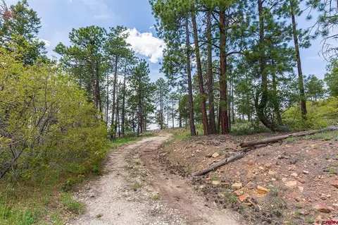 3111 Durango Cliffs Dr, Durango, CO 81301 photo 10