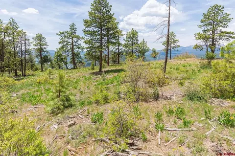 3111 Durango Cliffs Dr, Durango, CO 81301 photo 19