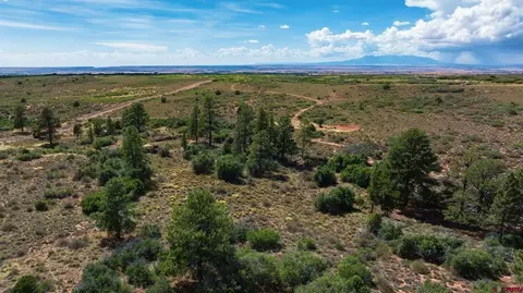 tbd Road 94, Dove Creek, CO 81324