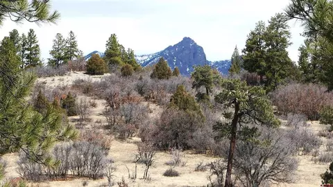 673 Spring Creek Cir, Chromo, CO 81128