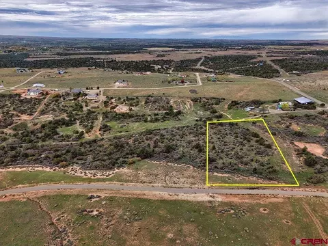 lot6 Tbd Road 274 Loop Rd, Dolores, CO 81323