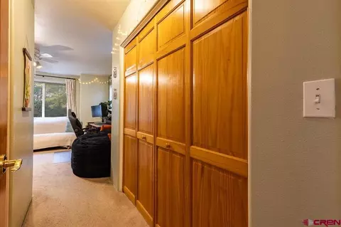 Other - 2322 Forest Ave, Durango, CO 81301 photo 6 of 20