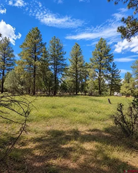 730 Nutria Cir, Pagosa Springs, CO 81147