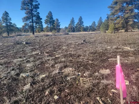660 Trails Blvd, Pagosa Springs, CO 81147