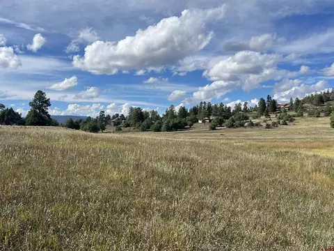1361 Hersch Ave, Pagosa Springs, CO 81147