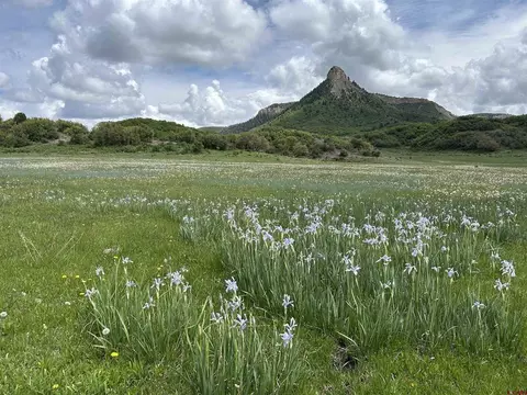 lot77 Road 298, Cahone, CO 81320