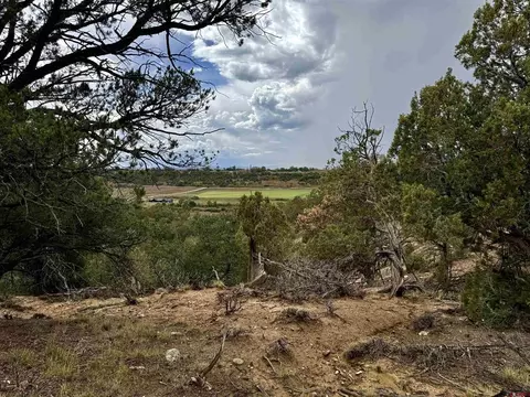 2543 Wrangler Way, Durango, CO 81301 photo 10