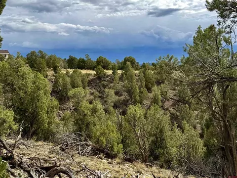 2543 Wrangler Way, Durango, CO 81301 photo 14
