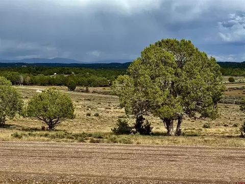 2543 Wrangler Way, Durango, CO 81301 photo 12