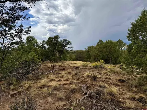 2543 Wrangler Way, Durango, CO 81301 photo 18
