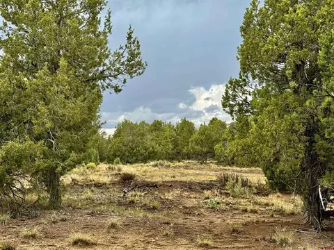 2543 Wrangler Way, Durango, CO 81301 photo 9