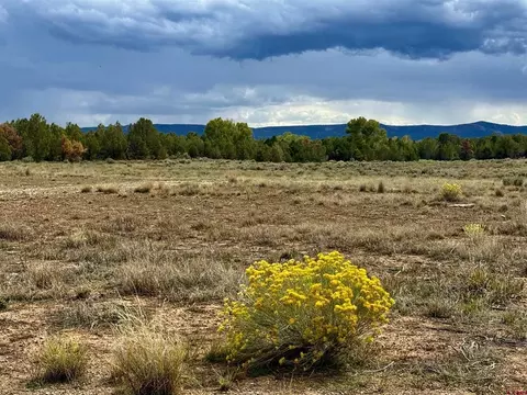 2543 Wrangler Way, Durango, CO 81301 photo 21