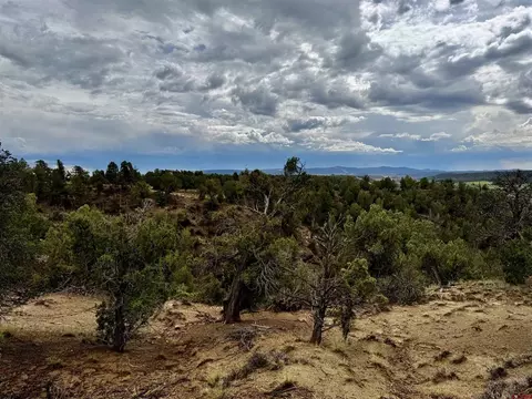 2543 Wrangler Way, Durango, CO 81301 photo 8