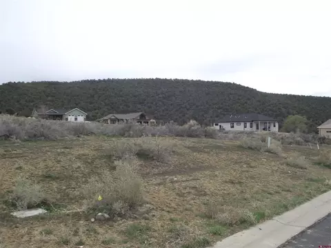 725 SE Pinyon St, Cedaredge, CO 81416 photo 9