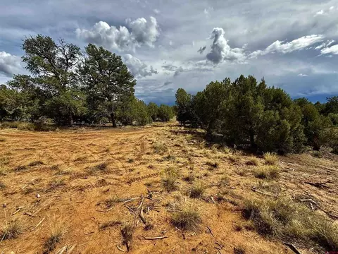 2647 Wrangler Way, Durango, CO 81301 photo 18