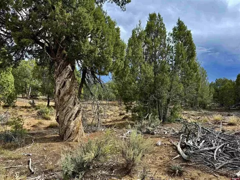 2647 Wrangler Way, Durango, CO 81301 photo 11