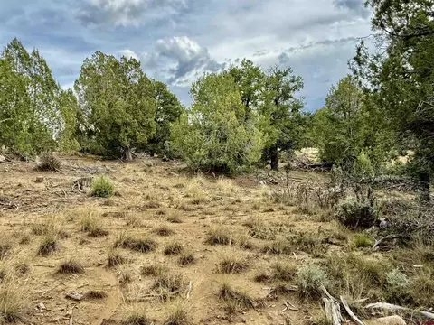 2647 Wrangler Way, Durango, CO 81301 photo 4