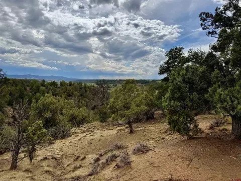 2647 Wrangler Way, Durango, CO 81301 photo 8