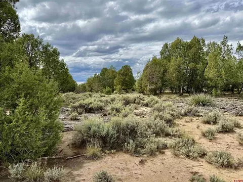 2647 Wrangler Way, Durango, CO 81301 photo 19