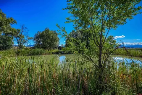 View/Area - 1204 County Road 332, Durango, CO 81301 photo 3 of 3