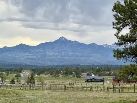 49 Marmot Ct, Pagosa Springs, CO 81147