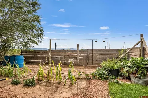 Exterior - 15596 Peach Rd, Cedaredge, CO 81413 photo 3 of 5