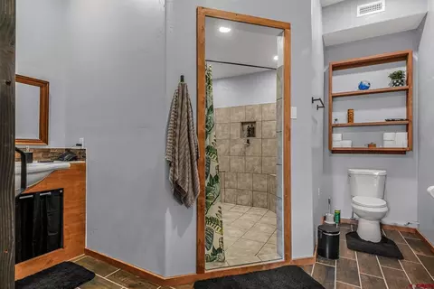 Bath - 15596 Peach Rd, Cedaredge, CO 81413 photo 1 of 1