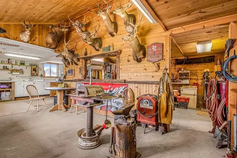 Other - 15596 Peach Rd, Cedaredge, CO 81413 photo 17 of 19