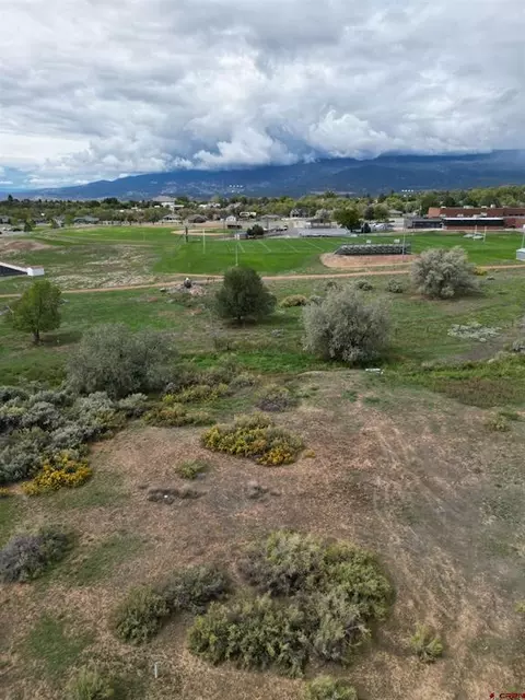 730 SE Pinyon St, Cedaredge, CO 81413 photo 11