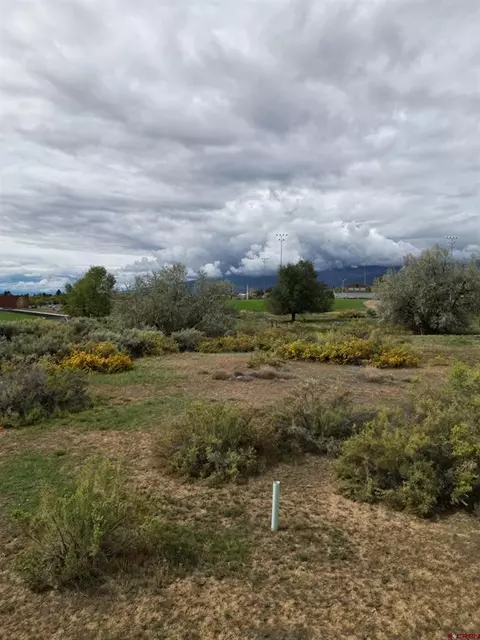 730 SE Pinyon St, Cedaredge, CO 81413 photo 3