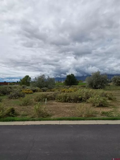 730 SE Pinyon St, Cedaredge, CO 81413 photo 13