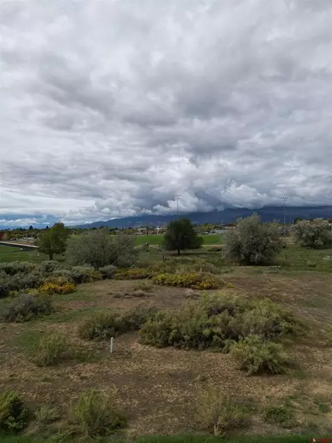730 SE Pinyon St, Cedaredge, CO 81413 photo 14