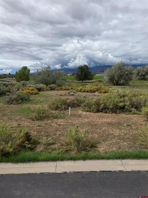 730 SE Pinyon St, Cedaredge, CO 81413 photo 5