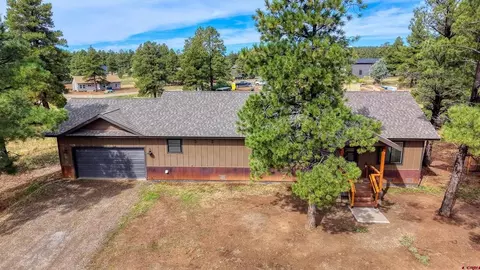 207 Domicile Cir, Pagosa Springs, CO 81147