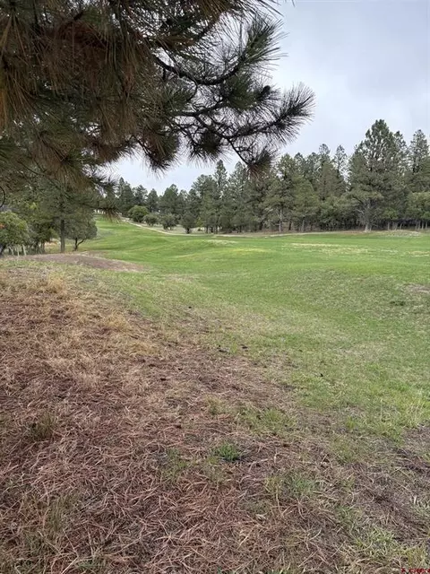tbd S Lot 439 S Badger Trl, Ridgway, CO 81432