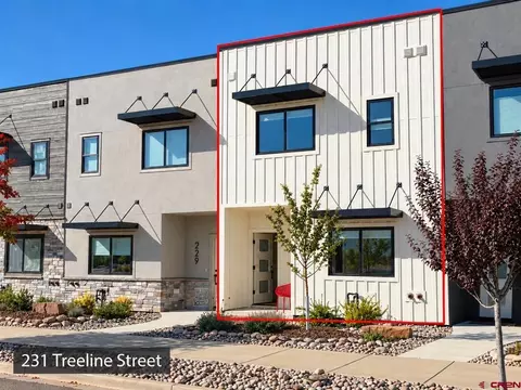 231 Treeline St, Durango, CO 81301