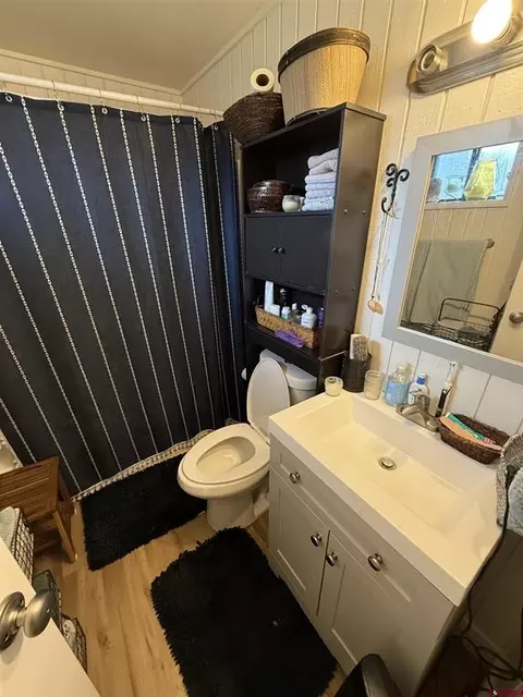 Bath - 195 Silverview Ln #1-5, Durango, CO 81303 photo 3 of 3
