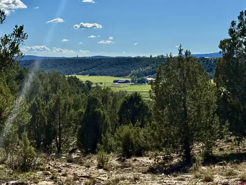 2153 Wrangler Way, Durango, CO 81301 photo 6