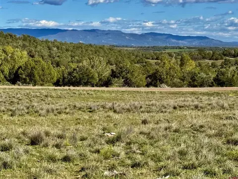 2153 Wrangler Way, Durango, CO 81301 photo 4