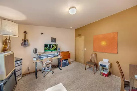 Other - 370 NW 4th St, Cedaredge, CO 81413 photo 4 of 7