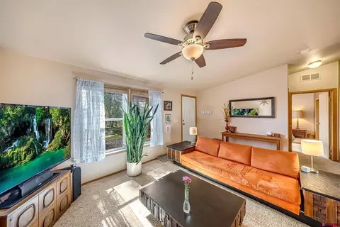 Living - 370 NW 4th St, Cedaredge, CO 81413 photo 3 of 3