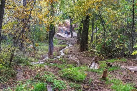 Other - 403 Spring Creek Dr, Durango, CO 81301 photo 7 of 12