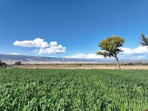 Other - 18755 H Rd, Delta, CO 81416 photo 5 of 5