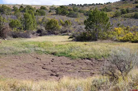 22424 Highway 65, Cedaredge, CO 81413 photo 18