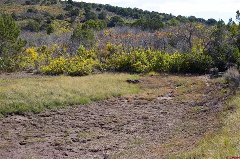 22424 Highway 65, Cedaredge, CO 81413 photo 19