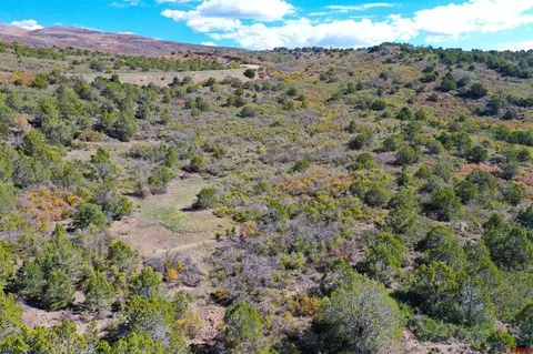 22424 Highway 65, Cedaredge, CO 81413 photo 31