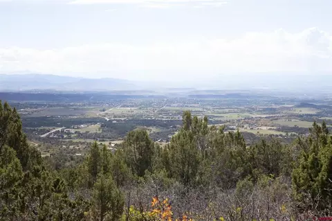 22424 Highway 65, Cedaredge, CO 81413 photo 42