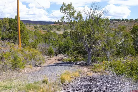 22424 Highway 65, Cedaredge, CO 81413 photo 6