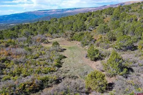 22424 Highway 65, Cedaredge, CO 81413 photo 29