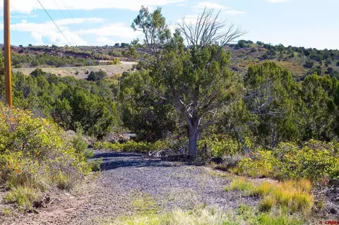 22424 Highway 65, Cedaredge, CO 81413 photo 4